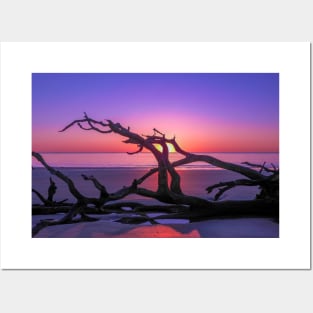 Purple Driftwood Sunrise Posters and Art